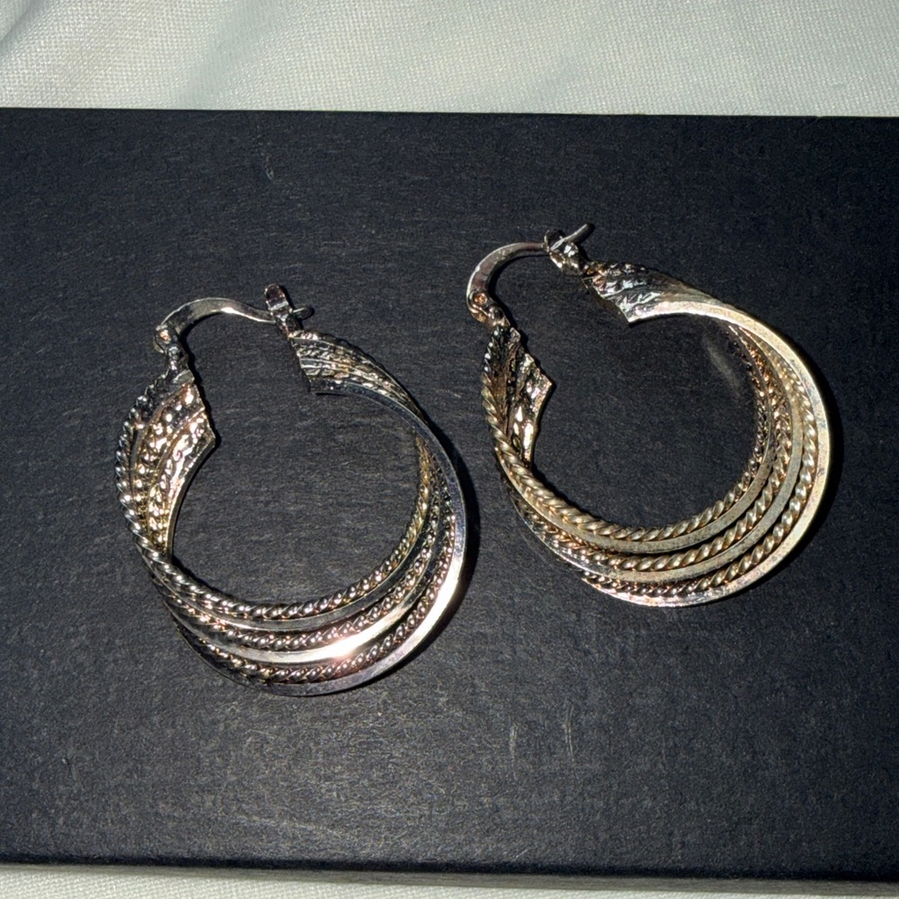Elegant Gold and Silver Hoop Earrings